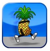 iOS 4.2.1 jailbreak iOS 4.2.1 jailbreak